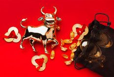 Siapa Lebih Beruntung? Ramalan Shio Kamis 11 Desember 2025 Tikus, Kerbau, Macan, dan Kelinci