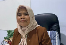 Imbas Kasus Daycare di Jogja, Bagaimana dengan Kota Cirebon? Simak Fakta Pengawasannya