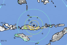 Gempa Besar M 7,7 Guncang Flores: Peringatan Tsunami Berakhir, Ancaman Longsor Mengintai