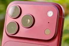 Bocoran iPhone 18e Makin Jelas, OLED 6,12 Inci, Chip A20, Selfie 24MP dan Kamera Belakang 48MP