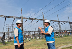Layang-Layang dan Pohon Jadi Gangguan Eksternal Utama PLN UIT JBT