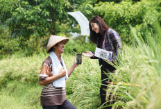 BRI Salurkan KUR Rp178,08 Triliun Sepanjang Tahun 2025, Lebih dari 60 Persen Mengalir ke Sektor Produktif  