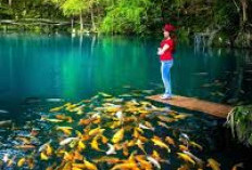 Telaga Biru Cicerem Kuningan, Surga Tersembunyi dengan Kisah Mistis Nyi Bomas Inten 