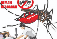 Kemenkes Ungkap Strategi Baru Pengendalian DBD, Target Nol Kematian 2030