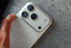 Penyimpanan Penuh Gegara Bug System Data, Pengguna HP iPhone Sesalkan Ini, Apa Bisa Diatasi?