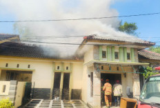 Bakar Sampah Picu Kebakaran di Kalitanjung Kota Cirebon, Rumah Kosong Nyaris Ludes Dilalap Api