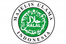 MUI: Tahun Baru Jadi Momen Refleksi, Bukan Euforia di Tengah Bencana