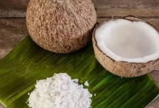 Dari Sisa Dapur Jadi Berguna, Ini Manfaat Ampas Kelapa untuk Tanaman dan Rumah Tangga
