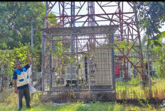 Rumah Hanya Berjarak 8 Meter dari Tower BTS, Warga Kedawung Minta Uji Radiasi dan Evaluasi Izin