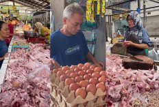 Liburan Berakhir, MBG Aktif, Harga Ayam Melonjak di Cirebon, Minyak Goreng Curah Naik Tipis