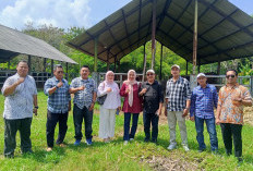 DPRD Kabupaten Cirebon Tinjau Aset Ternak Sapi, Siap Dilelang dan Dikembangkan