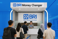 Cek Tabel Angsuran KUR BRI 2026 Pinjaman Rp100 Juta, Solusi Modal Usaha UMKM dengan Cicilan Ringan
