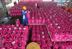 Resmi! Harga Gas LPG 12 Kg Naik Hingga Rp228 Ribu, Ini Daftar Lengkapnya