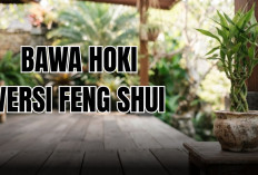 5 Tanaman Hias Pembawa Hoki Menurut Feng Shui Ini Bisa Bawa Keberuntungan Untuk Keluarga Kamu!