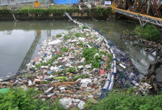 Jaring Sampah di Hilir Sukalila–Kalibaru Menggantung Nasib Sungai