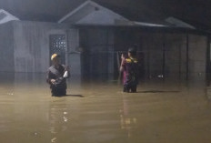 Banjir Terjang Desa Dawuan Cirebon, Air Capai 80 Sentimeter