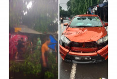 Hujan dan Angin di Cirebon Sebabkan Pohon Tumbang, Satu Unit Mobil Jadi Korban