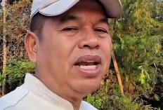 Tak Perlu Antre, Bursa Kerja Jabar Disiarkan Live dari TikTok Dedi Mulyadi