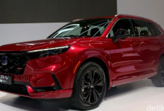 8 Mobil Hybrid Bekas Terbaik 2026 Harga Mulai Rp185 Jutaan, Pilihan Irit BBM dengan Teknologi Masa Kini