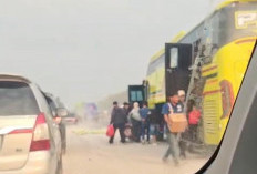 Kecelakaan di Tol Cipali KM 142 Hari ini, Libatkan Bus dan Truk Semen, 2 Orang Luka