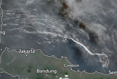 Asap Karhutla Kalimantan sampai Atmosfer Jakarta - Jawa Barat