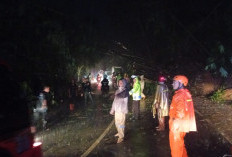 Heboh Video Macet Maja–Talaga, BPBD Majalengka Ungkap Fakta Sebenarnya