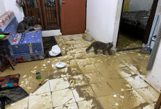 Ratusan Rumah di Mundu Terendam Banjir, Hari Ini Warga Bersih-bersih