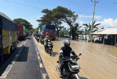 Banjir di Pantura Cirebon Hari Ini, Air Belum Surut, Lalu Lintas Macet