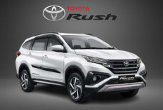 Bukan Mobil Baru! 3 Mobil Bekas Ini Justru Jadi yang Paling Banyak Diburu di Tahun 2026
