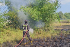 Atasi Pengangguran, Kuningan Ubah Lahan Kritis di Wilayah Timur Jadi Kawasan Peruntukan Industri