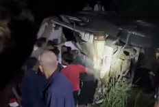 Kecelakaan Mobil Travel Masuk Jurang di Majalengka, 7 Penumpang Tewas