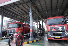 Stop Impor Solar dan Surplus 4 Juta Kiloliter, Indonesia Hemat Devisa Rp170 Triliun Lewat B50