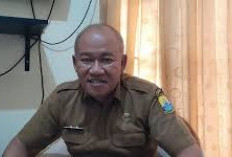 BKPSDM Tegaskan Honorer Tanpa NIP Tak Punya Dasar Hukum Digaji APBD