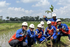Indocement Palimanan Gelar Penanaman Pohon Peringati Gerakan Sejuta Pohon 2026