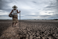 5 Wilayah di Indramayu Terancam Kekeringan, BPBD Siapkan Distribusi Air Bersih Hadapi Super El Nino 2026