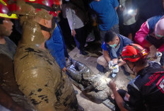 Tengah Malam, Damkar Kota Cirebon Selamatkan Pria Terjebak Lumpur di Pelabuhan Kejawanan