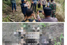 Penemuan Mayat Bayi di Cirebon Bikin Heboh, Diduga Baru Dilahirkan Sebelum Dibuang