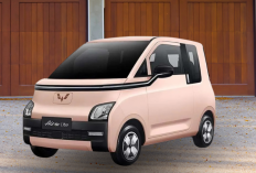 Cari Mobil Listrik Harga Rp100 Jutaan? Ini 5 Pilihan dengan Jarak Tempuh Jauh & Fitur Lengkap!