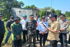 Miris! 72 Hektare Sawah di Majalengka Gagal Panen, Bupati Turun ke Lokasi, Ada Solusi?