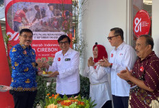 Peringati HUT ke 81, PMI Gelar Gebyar Donor Targetkan 810 Kantong Darah 