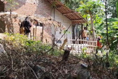 Ancam 45 Rumah, Warga Sukagumiwang Indramayu Mendesak Penanganan Permanen Longsor Sungai Cimanuk