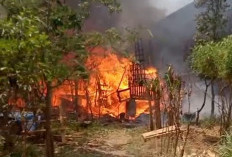 28 Kambing Mati Terpanggang, Kandang Warga Klayan Cirebon Ludes Terbakar
