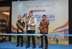 BULOG Cetak Rekor Sejarah, Pengadaan Beras Tembus 4,11 Juta Ton