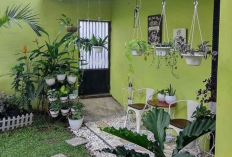 7 Tanaman Hias Ini Tidak Baik Ditanam di Depan Rumah, Membawa Sial dan Bala ke Pemilik Hunian