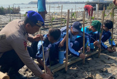 Siswa SMPN 7 Tanam Mangrove, Wujud Kepedulian Lingkungan Sejak Dini