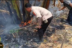Diduga Berawal dari Pembakaran Sampah, Lahan Kosong di Bongas Wetan Terbakar