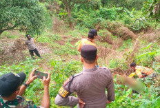 Terdapat Bekas Gigitan Hewan, Penemuan Mayat di Hutan Gunung Pasir Maja