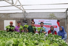 Sharp Hydro Heroes Berdayakan Ibu Muda Bekasi Lewat Hidroponik dan Edukasi Gizi