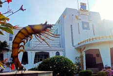 Wali Kota Cirebon Terapkan WFH Setiap Jumat, Dorong Efisiensi dan Transformasi Digital ASN