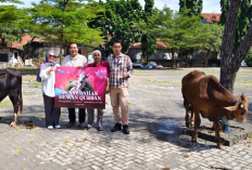 CSB Mall Bagikan Hewan Kurban di Momen Idul Adha, 2 Sapi untuk Warga Cirebon